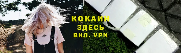 шишки Белокуриха