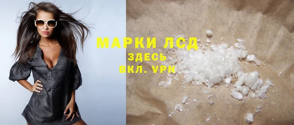 шишки Белокуриха