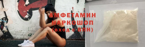 шишки Белокуриха