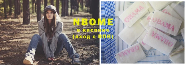 шишки Белокуриха