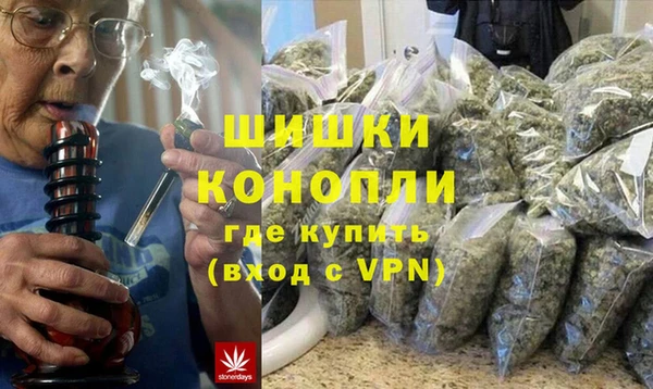 шишки Белокуриха