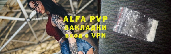 шишки Белокуриха