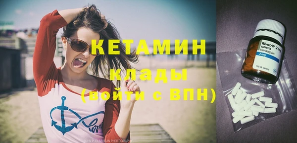 шишки Белокуриха