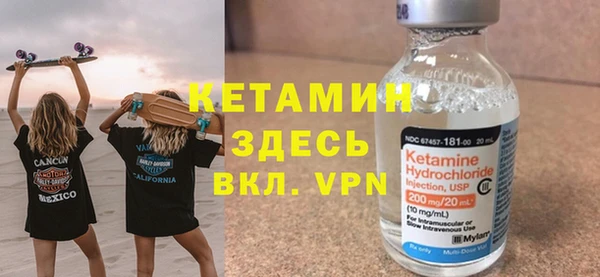 шишки Белокуриха