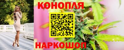 прущие грибы Волжский