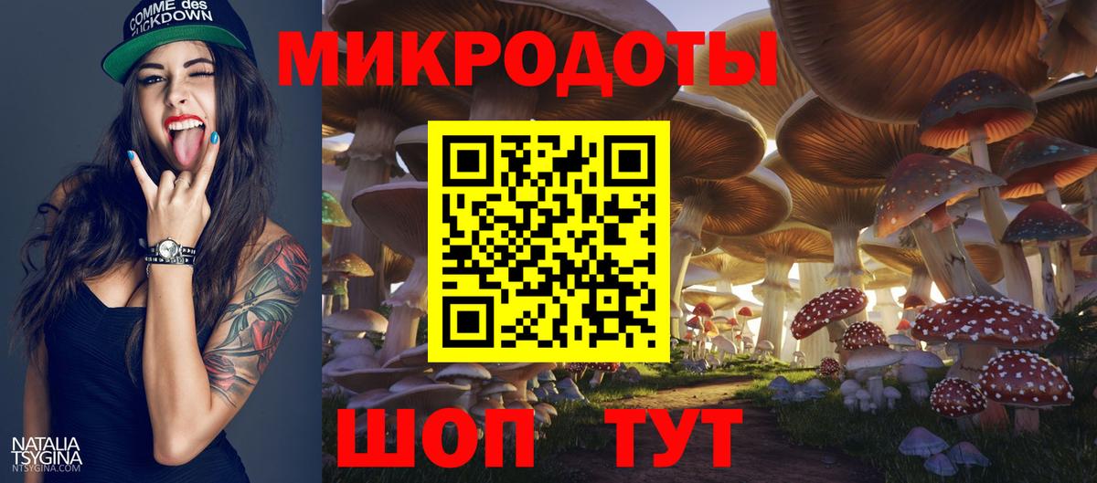 Псилоцибиновые грибы мицелий Губкинский